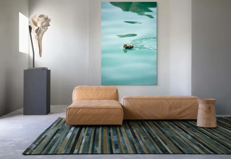 Tablou Canvas, "Rățușca plutește pe lacul albastru", Rățușcă, Apă, Albastră, Reflexie, Înot, Natură, 100 x 150 cm – poza 7