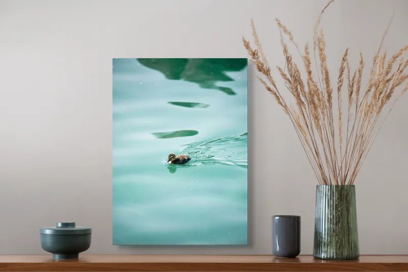 Tablou Canvas, "Rățușca plutește pe lacul albastru", Rățușcă, Apă, Albastră, Reflexie, Înot, Natură, 39 x 54 cm – poza 3