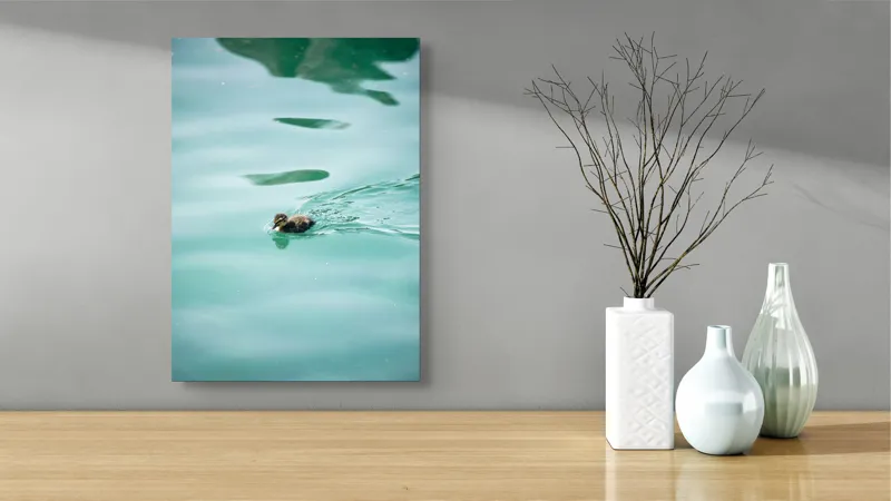 Tablou Canvas, "Rățușca plutește pe lacul albastru", Rățușcă, Apă, Albastră, Reflexie, Înot, Natură, 39 x 54 cm – poza 4