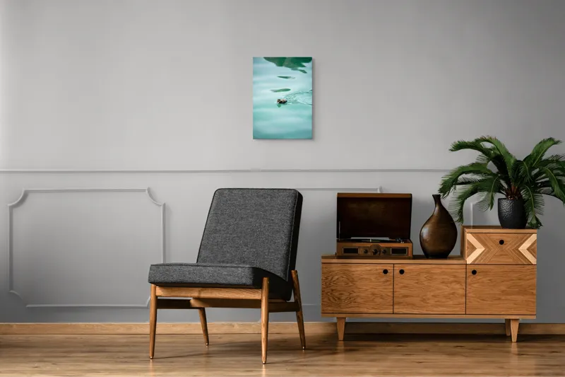 Tablou Canvas, "Rățușca plutește pe lacul albastru", Rățușcă, Apă, Albastră, Reflexie, Înot, Natură, 39 x 54 cm – poza 8