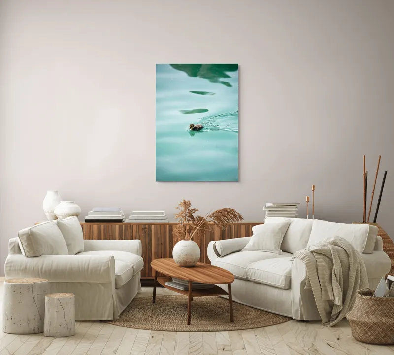 Tablou Canvas, "Rățușca plutește pe lacul albastru", Rățușcă, Apă, Albastră, Reflexie, Înot, Natură, 70 x 100 cm – poza 4