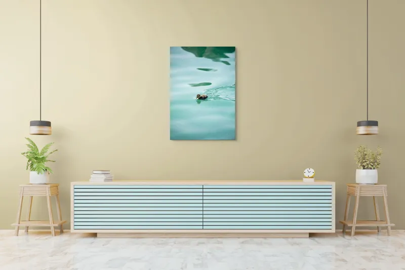 Tablou Canvas, "Rățușca plutește pe lacul albastru", Rățușcă, Apă, Albastră, Reflexie, Înot, Natură, 70 x 100 cm – poza 5