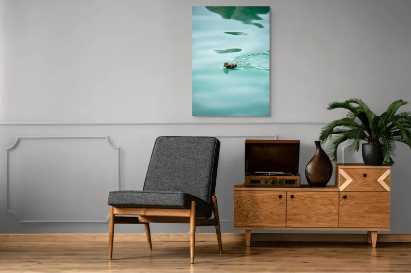 Tablou Canvas, "Rățușca plutește pe lacul albastru", Rățușcă, Apă, Albastră, Reflexie, Înot, Natură, 70 x 100 cm – poza 6