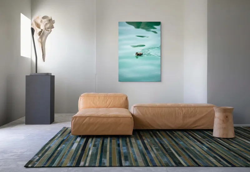 Tablou Canvas, "Rățușca plutește pe lacul albastru", Rățușcă, Apă, Albastră, Reflexie, Înot, Natură, 70 x 100 cm – poza 7