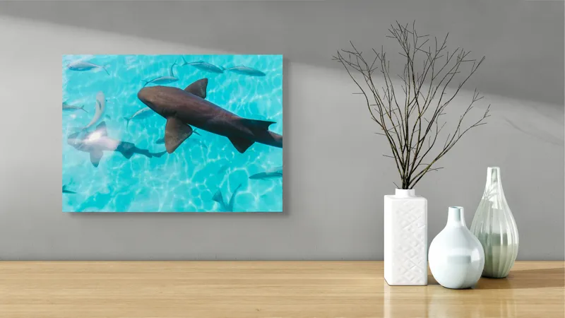 Tablou Canvas, "Rechini înotând în oceanul albastru", Rechini, Pești, Apă, Lumină, Azur, Reflexii, Mișcare, Ocean., 54 x 39 cm – poza 3