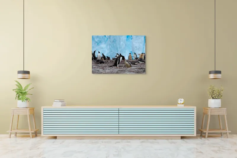 Tablou Canvas, "Pinguinii și îmbrățișările ghetarilor antarctici", Pinguini, Gheață, Comunitate, Pui, Natură, Peisaj, Antarctica, Interacțiune, Familie, Aripioare, Stânci, Creștere, 100 x 70 cm – poza 4