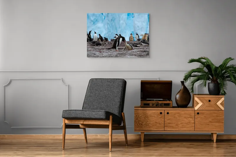 Tablou Canvas, "Pinguinii și îmbrățișările ghetarilor antarctici", Pinguini, Gheață, Comunitate, Pui, Natură, Peisaj, Antarctica, Interacțiune, Familie, Aripioare, Stânci, Creștere, 100 x 70 cm – poza 8