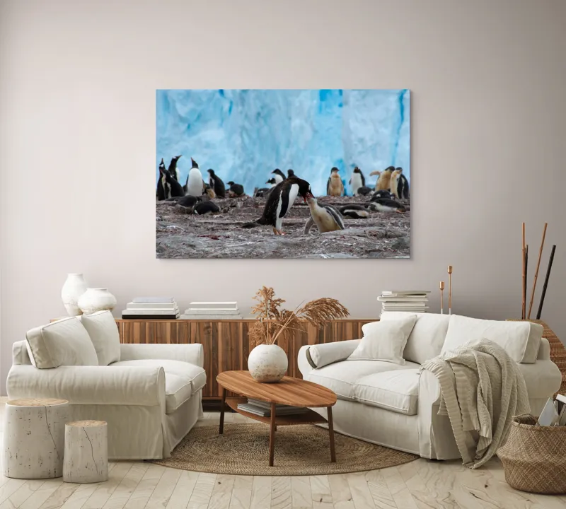 Tablou Canvas, "Pinguinii și îmbrățișările ghetarilor antarctici", Pinguini, Gheață, Comunitate, Pui, Natură, Peisaj, Antarctica, Interacțiune, Familie, Aripioare, Stânci, Creștere, 150 x 100 cm – poza 3