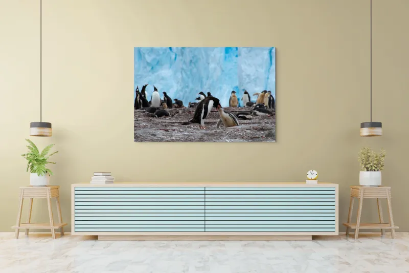 Tablou Canvas, "Pinguinii și îmbrățișările ghetarilor antarctici", Pinguini, Gheață, Comunitate, Pui, Natură, Peisaj, Antarctica, Interacțiune, Familie, Aripioare, Stânci, Creștere, 150 x 100 cm – poza 6