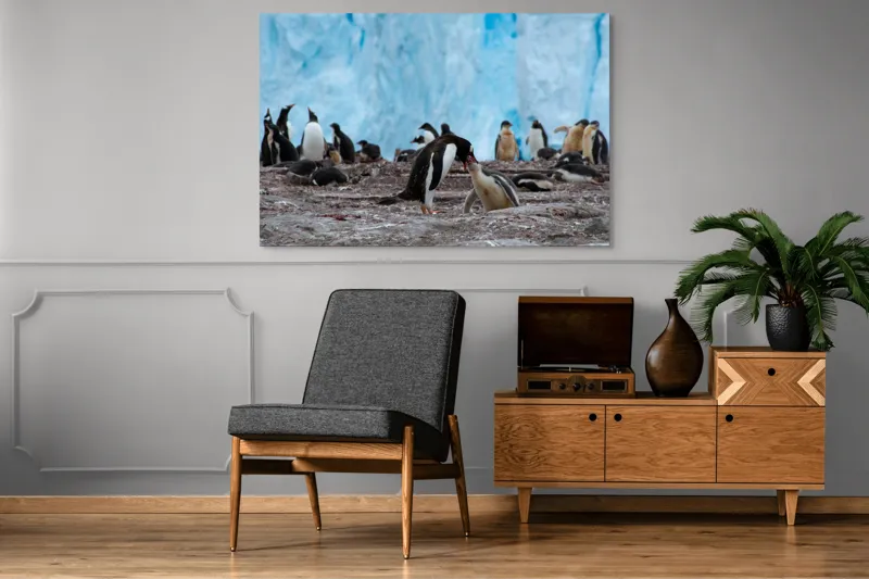 Tablou Canvas, "Pinguinii și îmbrățișările ghetarilor antarctici", Pinguini, Gheață, Comunitate, Pui, Natură, Peisaj, Antarctica, Interacțiune, Familie, Aripioare, Stânci, Creștere, 150 x 100 cm – poza 8
