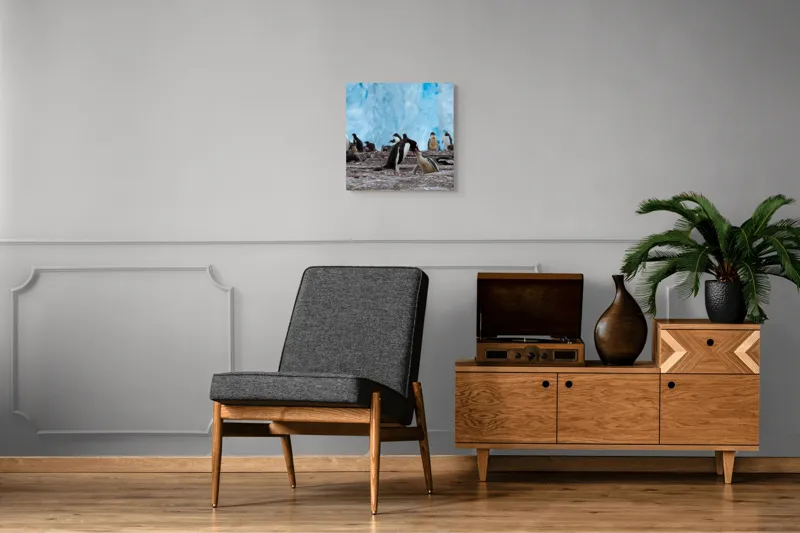 Tablou Canvas, "Pinguinii și îmbrățișările ghetarilor antarctici", Pinguini, Gheață, Comunitate, Pui, Natură, Peisaj, Antarctica, Interacțiune, Familie, Aripioare, Stânci, Creștere, 50 x 50 cm – poza 6
