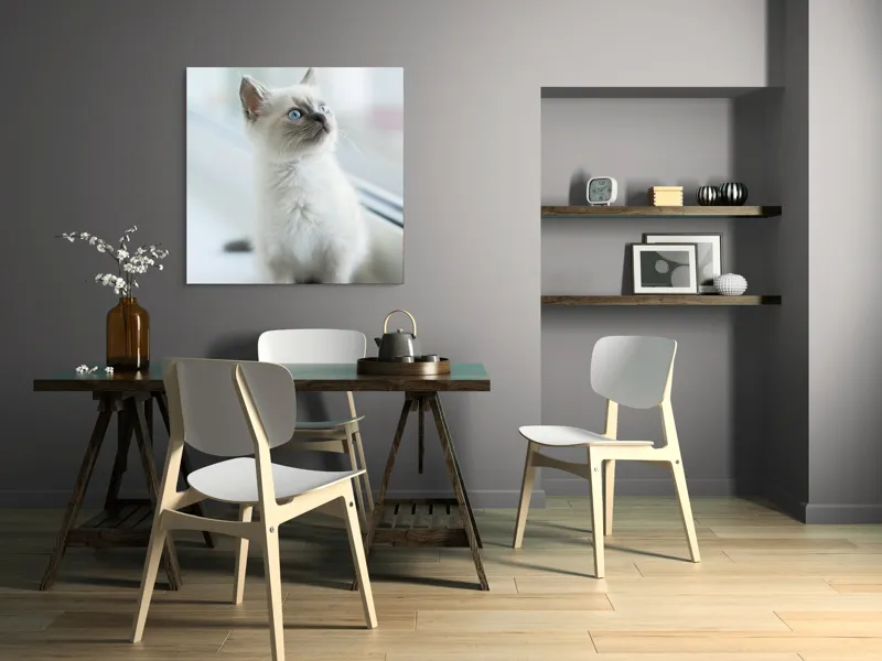 Tablou Canvas, "Pisoi curios la fereastra albă", Nu pot să identific persoana sau animalul din imagine, dar pot spune că este un pui de pisică cu blană deschisă la culoare și ochi albaștri, privind pe fereastră., 100 x 100 cm – poza 6