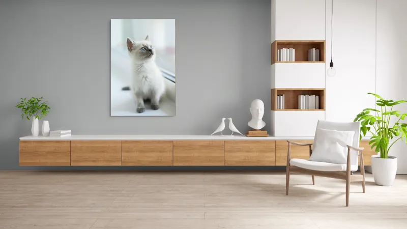 Tablou Canvas, "Pisoi curios la fereastra albă", 100 x 150 cm – poza 8