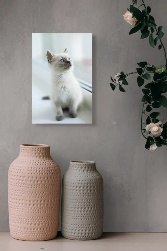 Tablou Canvas, "Pisoi curios la fereastra albă", 26 x 39 cm – poza 6