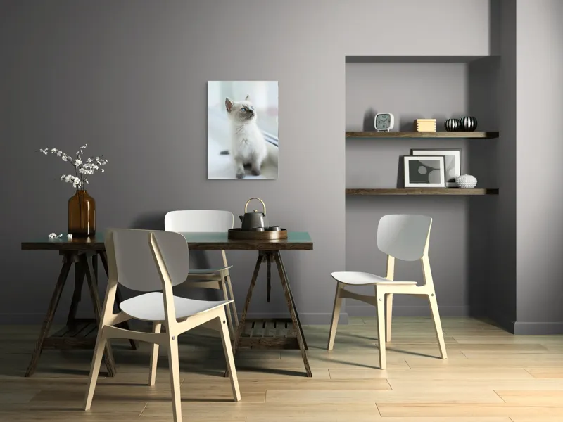 Tablou Canvas, "Pisoi curios la fereastra albă", 50 x 70 cm – poza 5