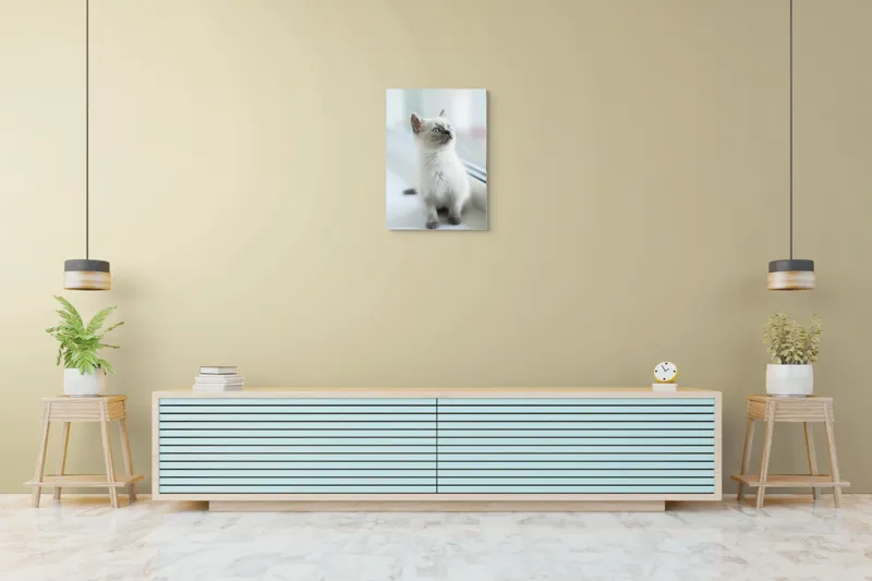 Tablou Canvas, "Pisoi curios la fereastra albă", 50 x 70 cm – poza 6
