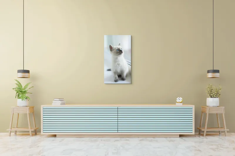 Tablou Canvas, "Pisoi curios la fereastra albă", 50 x 90 cm – poza 6