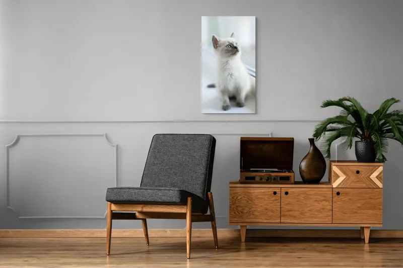 Tablou Canvas, "Pisoi curios la fereastra albă", 50 x 90 cm – poza 8