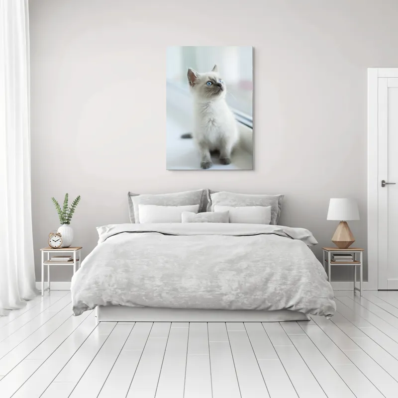 Tablou Canvas, "Pisoi curios la fereastra albă", 70 x 100 cm – poza 3