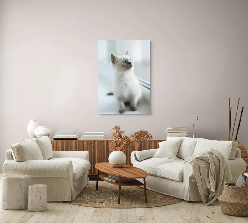 Tablou Canvas, "Pisoi curios la fereastra albă", 70 x 100 cm – poza 4