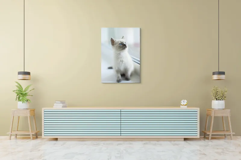 Tablou Canvas, "Pisoi curios la fereastra albă", 70 x 100 cm – poza 5
