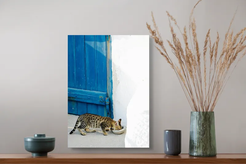 Tablou Canvas, "Pisică savurând micul dejun lângă ușă.", Pisică, Ușă, Albastră, Perete, Alb, Bol, Mâncare, Umbră, Lumină, Podea, Textură, Miau., 39 x 54 cm – poza 3