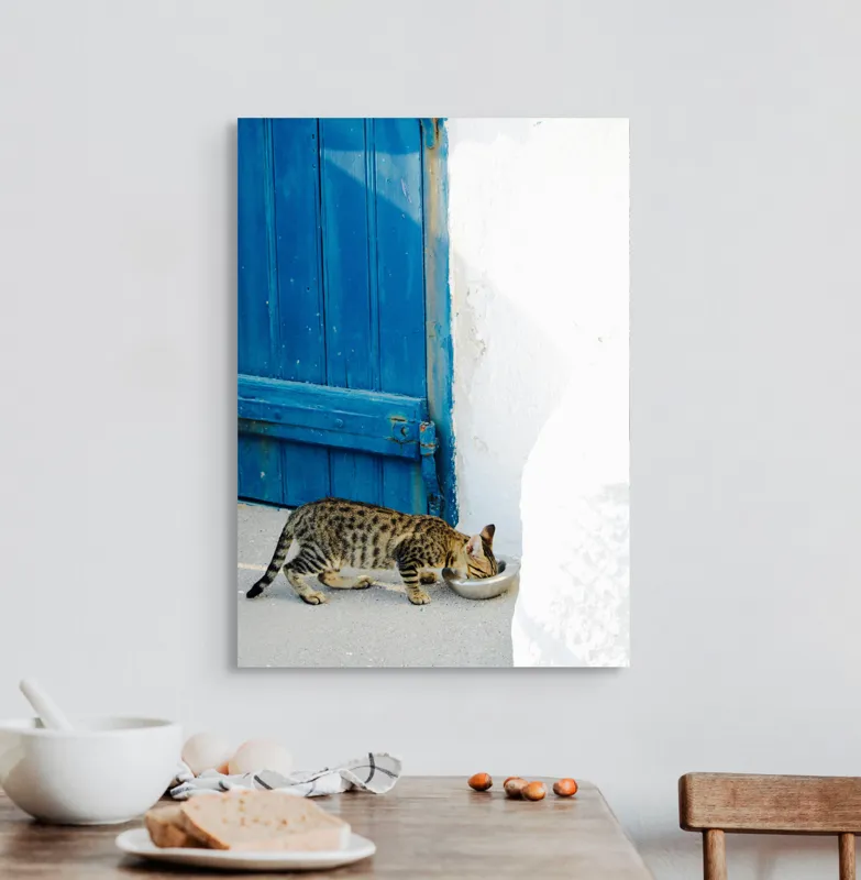Tablou Canvas, "Pisică savurând micul dejun lângă ușă.", Pisică, Ușă, Albastră, Perete, Alb, Bol, Mâncare, Umbră, Lumină, Podea, Textură, Miau., 50 x 70 cm – poza 3