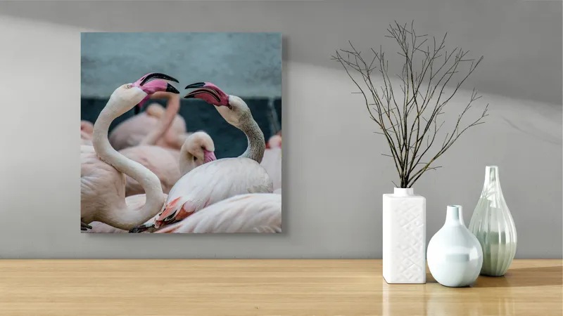 Tablou Canvas, "Flamingo în mijlocul conversației roz", Flamingo, Grație, Eleganță, Roz, Armonie, Natură, Dans, Serenitate, Frumusețe, 50 x 50 cm – poza 3