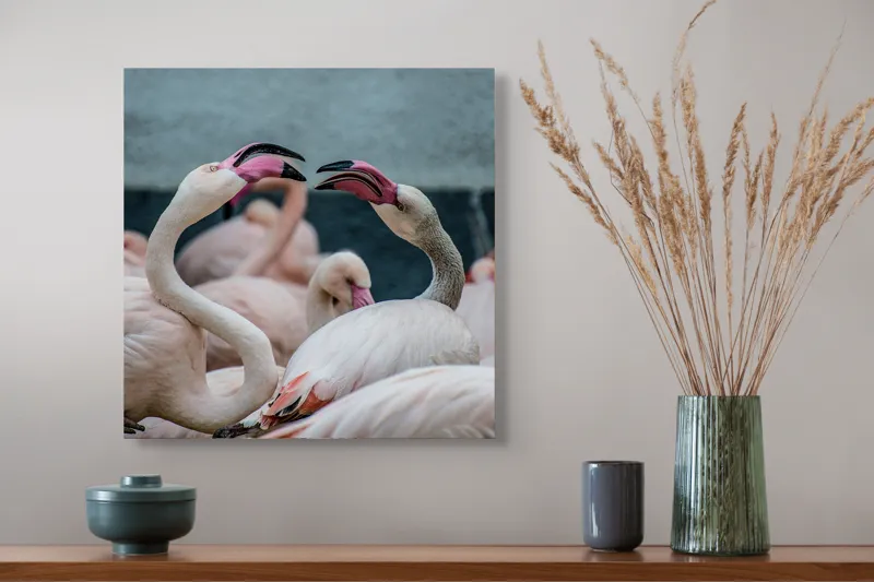 Tablou Canvas, "Flamingo în mijlocul conversației roz", Flamingo, Grație, Eleganță, Roz, Armonie, Natură, Dans, Serenitate, Frumusețe, 50 x 50 cm – poza 4