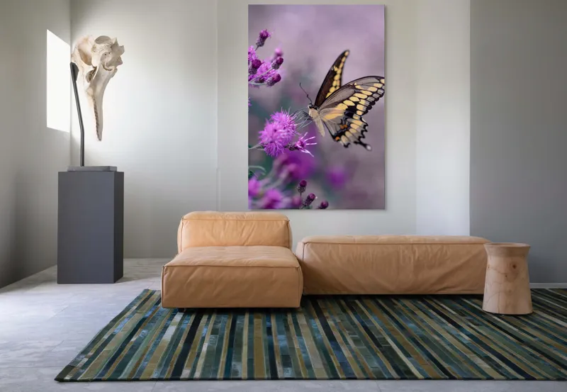 Tablou Canvas, "Fluture grațios pe flori mov", Fluture, Flori, Mov, Delicatețe, Natură, Fragilitate, Culoare, Aripi, Seninătate, Contrast, 100 x 150 cm – poza 7