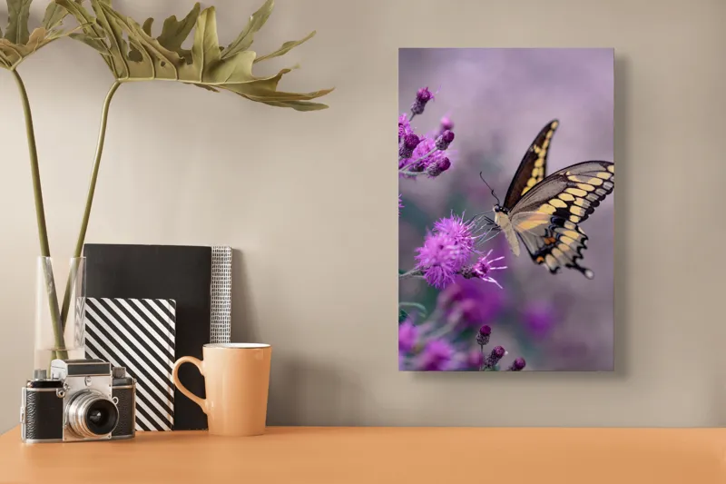 Tablou Canvas, "Fluture grațios pe flori mov", Fluture, Flori, Mov, Delicatețe, Natură, Fragilitate, Culoare, Aripi, Seninătate, Contrast, 26 x 39 cm – poza 3