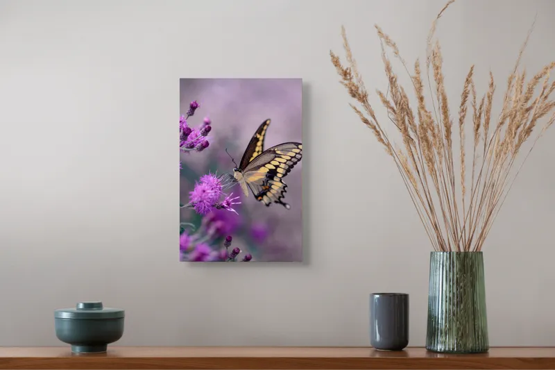 Tablou Canvas, "Fluture grațios pe flori mov", Fluture, Flori, Mov, Delicatețe, Natură, Fragilitate, Culoare, Aripi, Seninătate, Contrast, 26 x 39 cm – poza 5