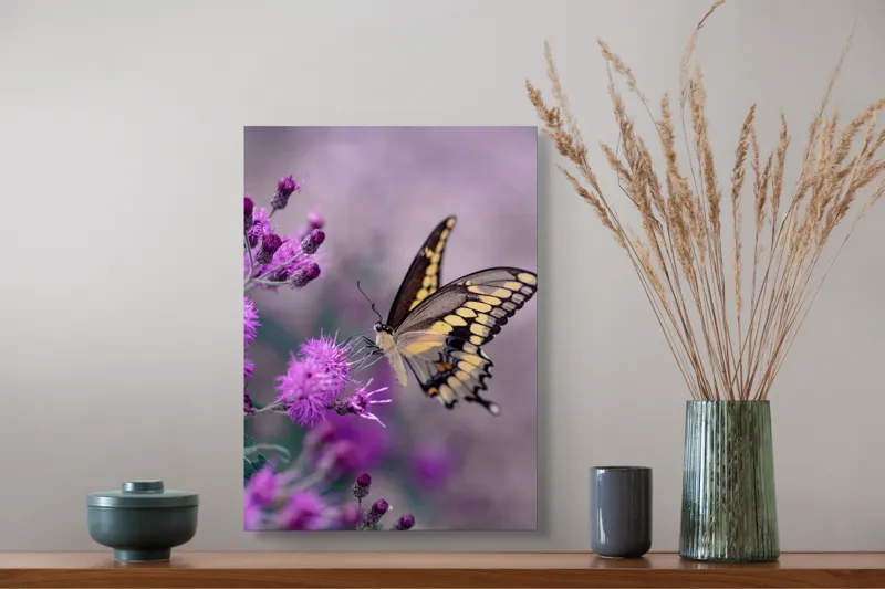 Tablou Canvas, "Fluture grațios pe flori mov", Fluture, Flori, Mov, Delicatețe, Natură, Fragilitate, Culoare, Aripi, Seninătate, Contrast, 39 x 54 cm – poza 3