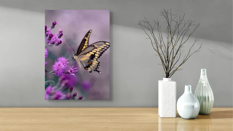 Tablou Canvas, "Fluture grațios pe flori mov", Fluture, Flori, Mov, Delicatețe, Natură, Fragilitate, Culoare, Aripi, Seninătate, Contrast, 39 x 54 cm – poza 4