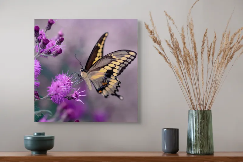 Tablou Canvas, "Fluture grațios pe flori mov", Fluture, Flori, Mov, Delicatețe, Natură, Fragilitate, Culoare, Aripi, Seninătate, Contrast, 50 x 50 cm – poza 4