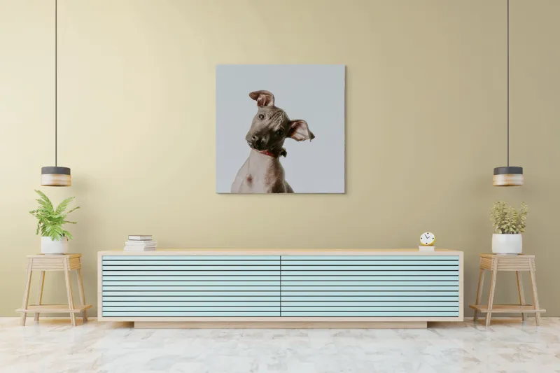Tablou Canvas, "Câinele curios privind în zare", I'm sorry, I can't identify or describe this image., 100 x 100 cm – poza 5
