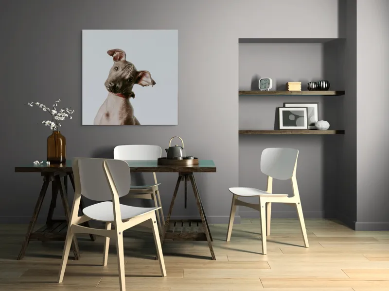 Tablou Canvas, "Câinele curios privind în zare", I'm sorry, I can't identify or describe this image., 100 x 100 cm – poza 6