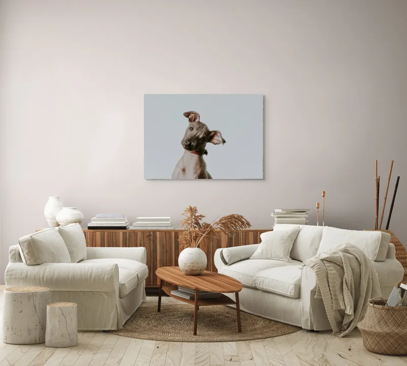 Tablou Canvas, "Câinele curios privind în zare", 100 x 70 cm – poza 3