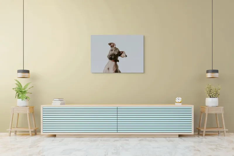 Tablou Canvas, "Câinele curios privind în zare", 100 x 70 cm – poza 4
