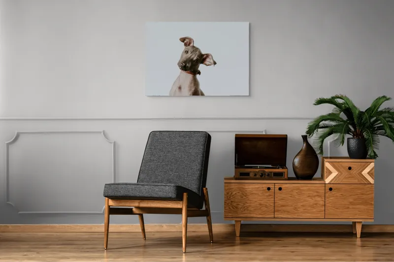 Tablou Canvas, "Câinele curios privind în zare", 100 x 70 cm – poza 8