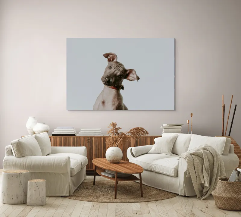 Tablou Canvas, "Câinele curios privind în zare", 150 x 100 cm – poza 3