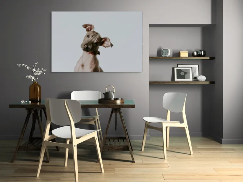 Tablou Canvas, "Câinele curios privind în zare", 150 x 100 cm – poza 5