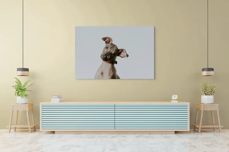 Tablou Canvas, "Câinele curios privind în zare", 150 x 100 cm – poza 6