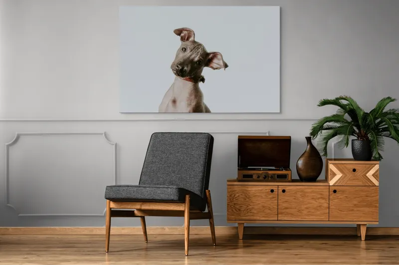 Tablou Canvas, "Câinele curios privind în zare", 150 x 100 cm – poza 8