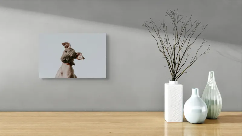 Tablou Canvas, "Câinele curios privind în zare", 39 x 26 cm – poza 8