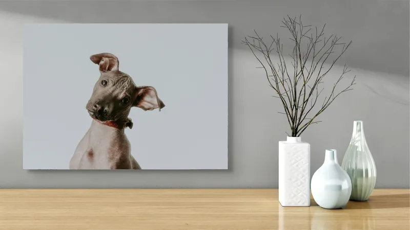 Tablou Canvas, "Câinele curios privind în zare", 70 x 50 cm – poza 3