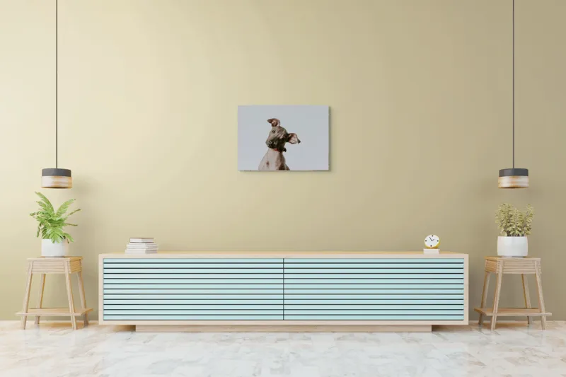 Tablou Canvas, "Câinele curios privind în zare", 70 x 50 cm – poza 7
