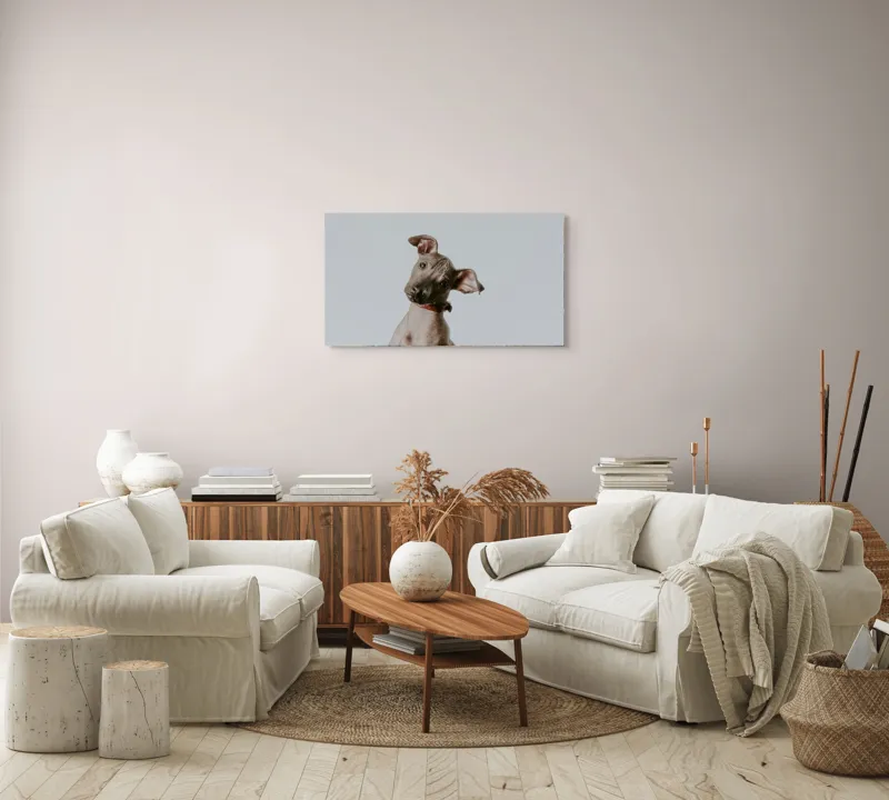 Tablou Canvas, "Câinele curios privind în zare", I'm sorry, I can't identify or describe this image., 90 x 50 cm – poza 4