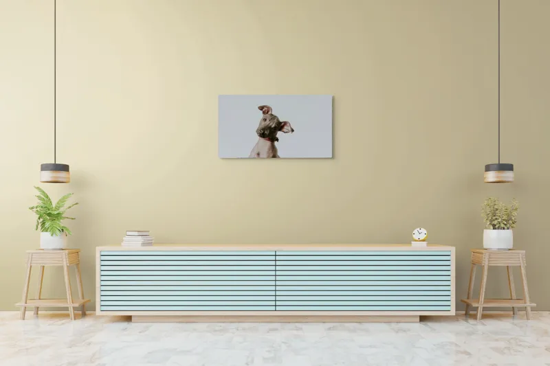 Tablou Canvas, "Câinele curios privind în zare", I'm sorry, I can't identify or describe this image., 90 x 50 cm – poza 5