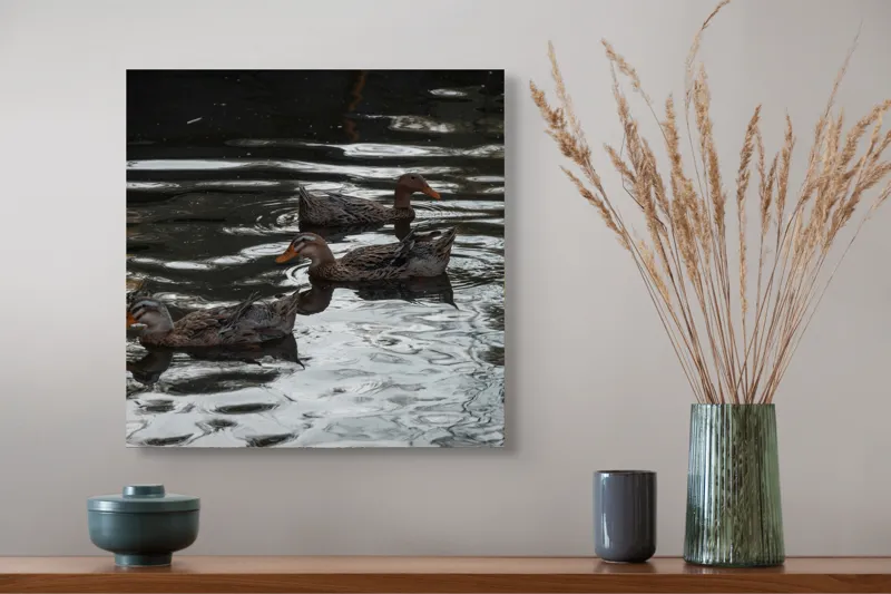 Tablou Canvas, "Rațe plutind pe lac în amurg", Rațe, Apă, Reflecții, Înot, Natură, Armonie, Liniște, 50 x 50 cm – poza 4